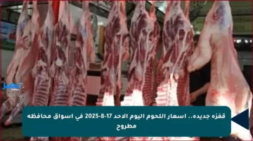 قفزة جديدة.. أسعار اللحوم اليوم الأحد 17-8-2025 في أسواق محافظة مطروح